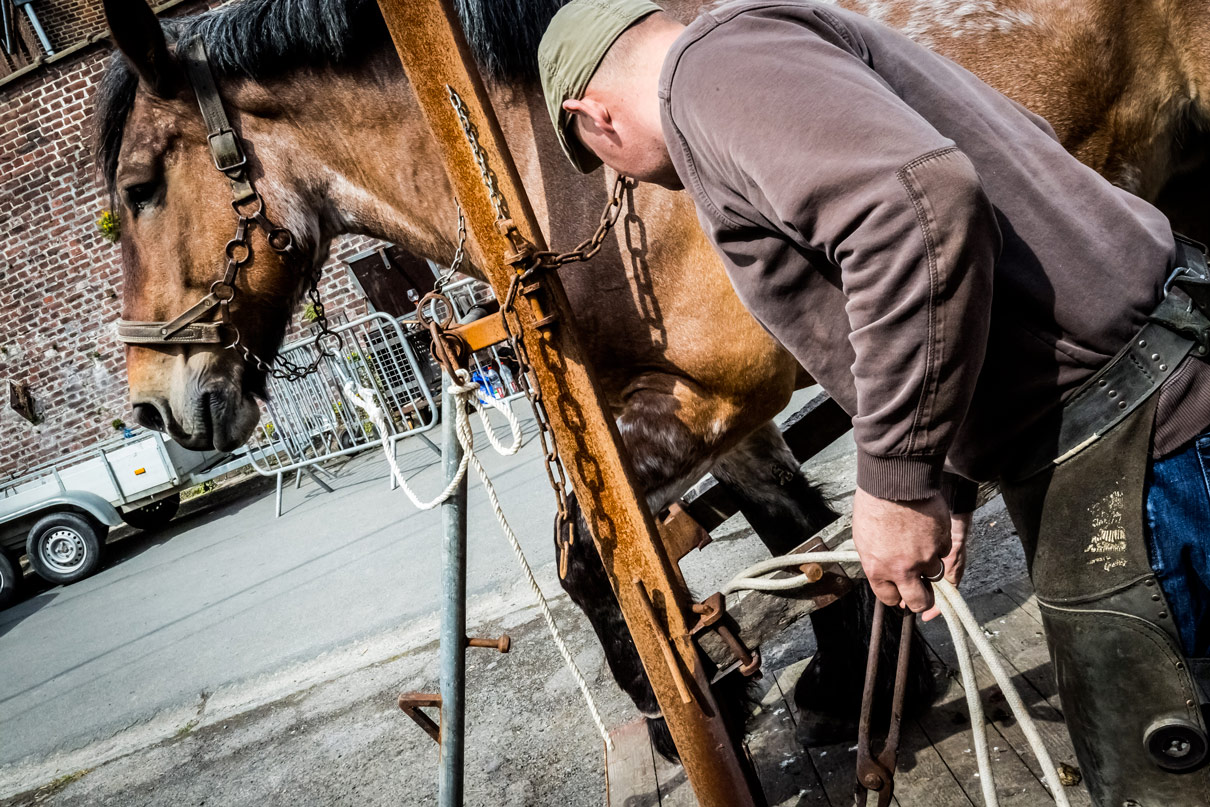 Maréchal-ferrant travaillant sur le sabot d'un cheval de trait